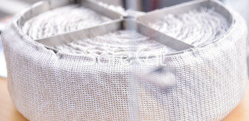 Platinum catalyst for exhaust gas